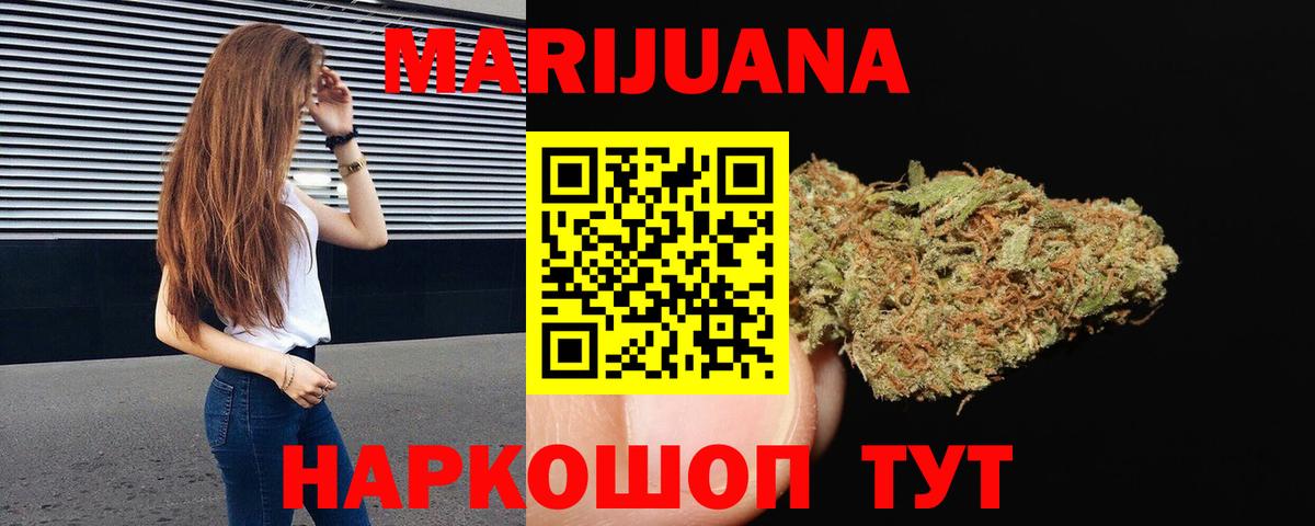 Конопля индика Кольчугино